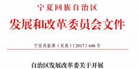 電價競價、必須滿足產業配套要求，寧夏發布1GW 2017年指標配置方案