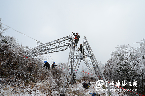 DSC_0323_807417d8f45b4dd0949988e385a22c1d