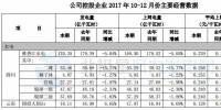 國投電力2017年發(fā)電量1289.49億千瓦時(shí) 同比增長7.07%