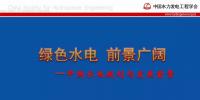 水力發電工程學會：我國水電規劃和發展前景的技術報告