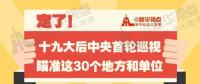 定了！華電集團、中核集團將接受十九屆中央第一輪巡視