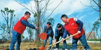 阜南供電：環保植樹添<font color=