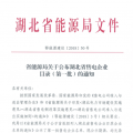 湖北省首批68家售電公司通過公示！4月20日前辦理注冊手續