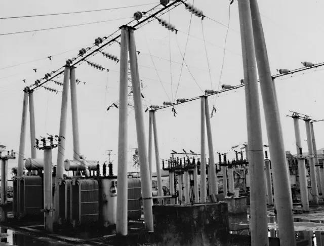 電網見證彝鄉發展60載!