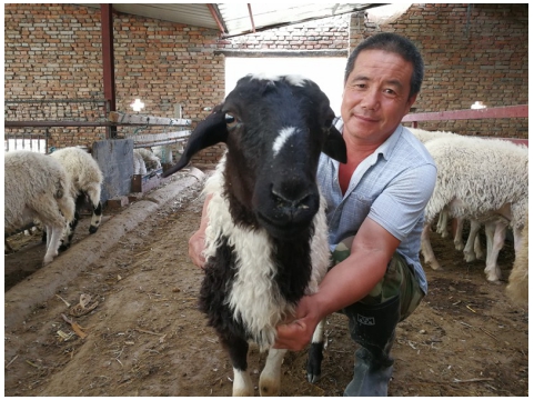 加強終端銷售體系建設 構建生態養殖產業鏈閉