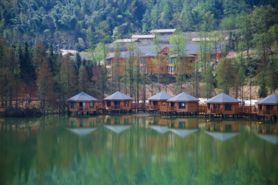 綠水青山=金山銀山 安徽“林長制”的探索與實踐