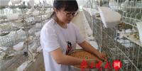 一個“80”后研究生的“綠色農業夢”：用“互聯網+”<font color=