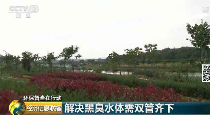 8.6公里河道有上百排污口 南寧多河被黑臭水攻陷