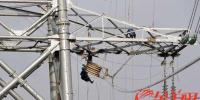 廣東兩項500千伏工程投產 珠三角負荷中心供電能力“再升級”
