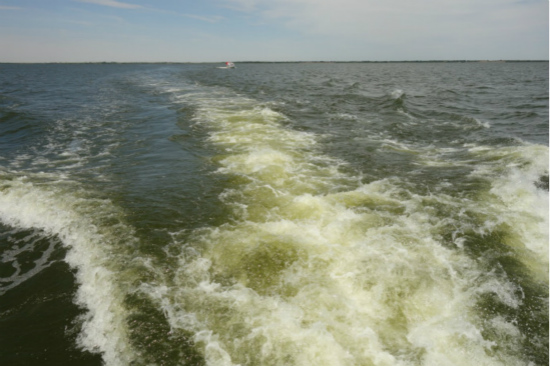 烏梁素海綜合治理規劃不嚴不實 生態環境形勢仍不樂觀