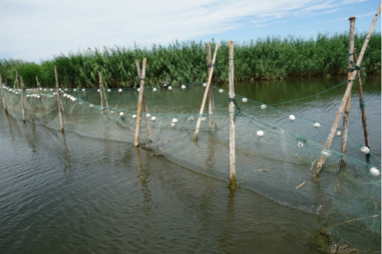 烏梁素海綜合治理規劃不嚴不實 生態環境形勢仍不樂觀