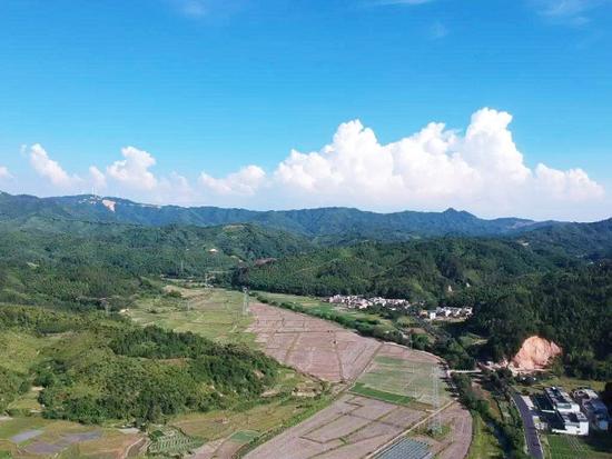 華行集團張麗維：互聯網農業下一個風口