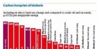 【數據】各種生物燃料能否減少碳排放？有的可以 有的卻比石油排放還高!