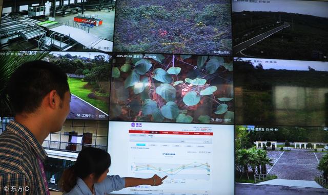 2018年農村電商巨頭卡位戰：互聯網+農業新玩法！