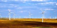 政策扶持 風電業<font color=