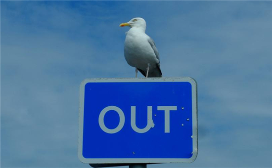 中國動(dòng)力電池行業(yè)前五出貨量占比80% 二線企業(yè)基本將出局？