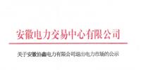 安徽1家具有發電業務的售電公司退出電力市場