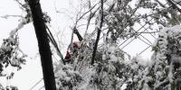 新疆烏魯木齊暴雪致17條配網線路停電